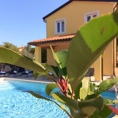 Villa Beautiful I With Pool In Porec Near The Aquapark *